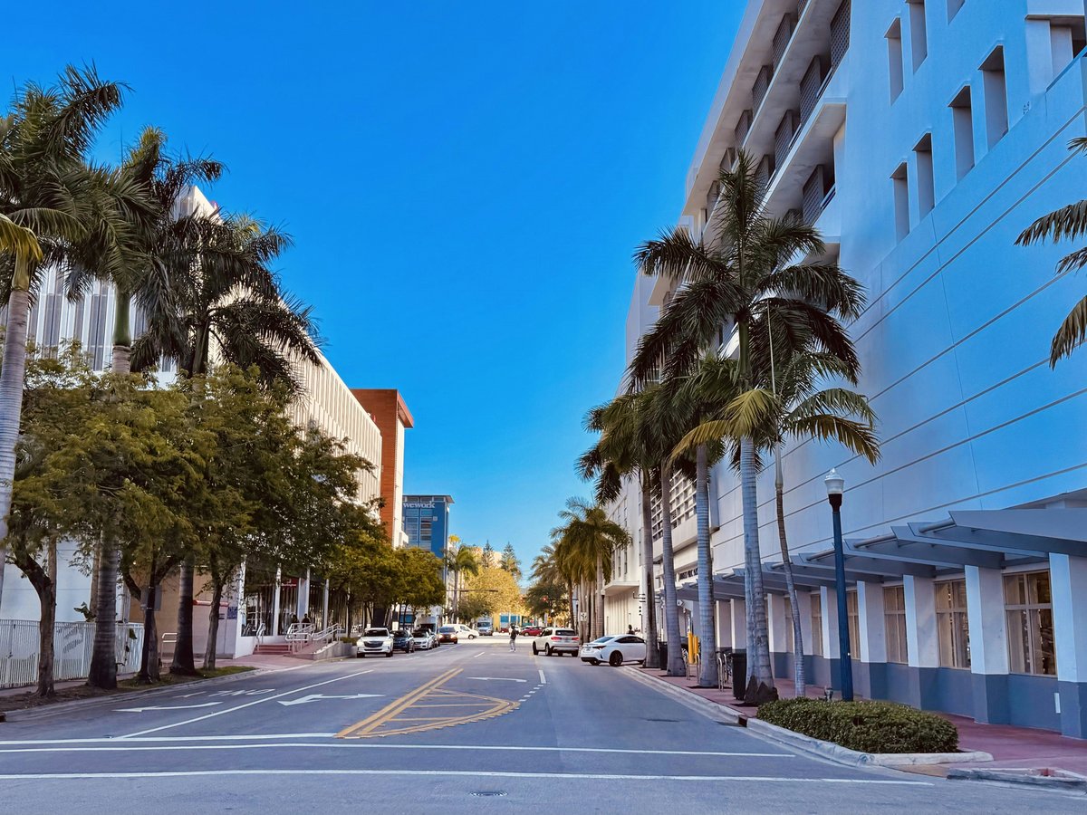 a street lined with palm trees next to tall buildings