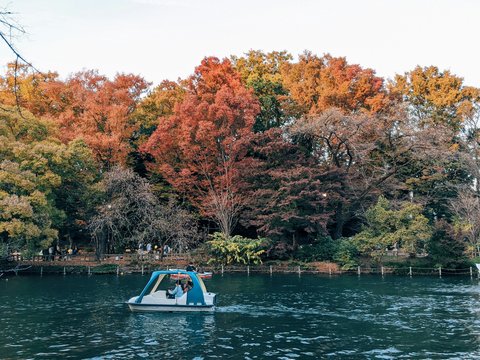white and blue boat on river during daytime