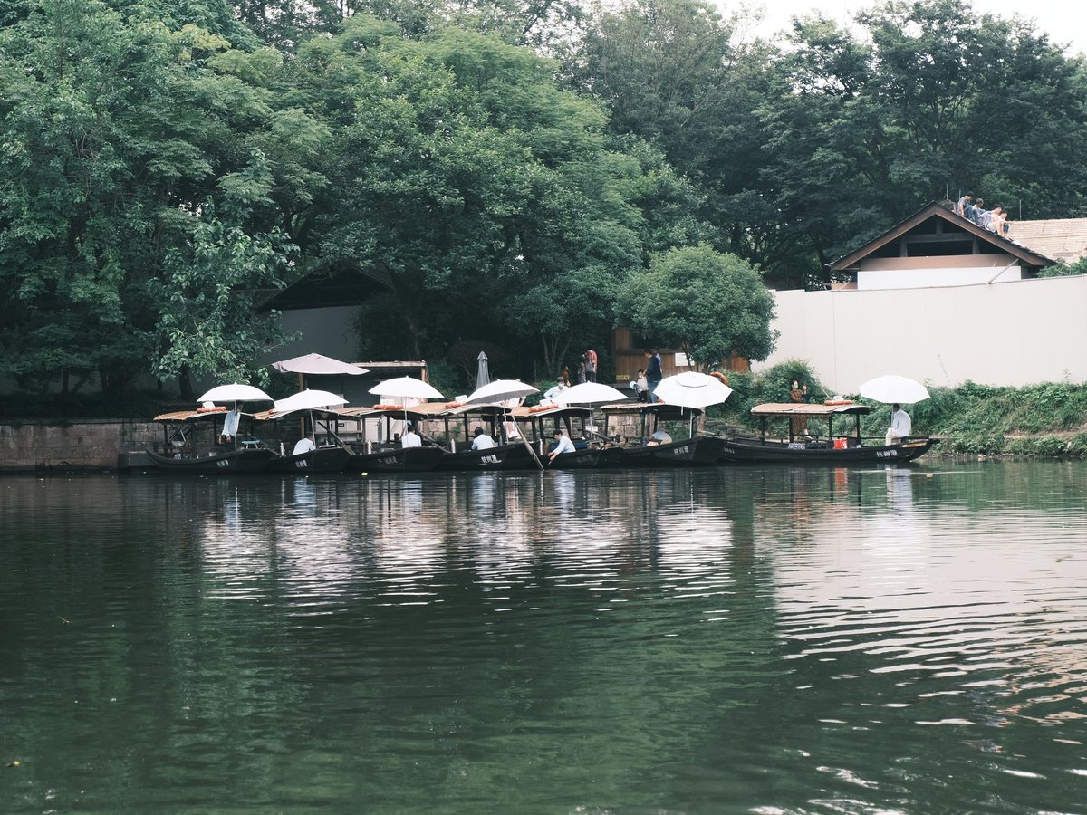 a bunch of umbrellas that are in the water