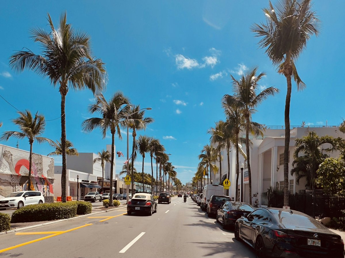 a street lined with palm trees and parked cars