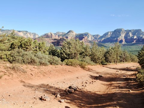 green trees and brown mountain during daytime