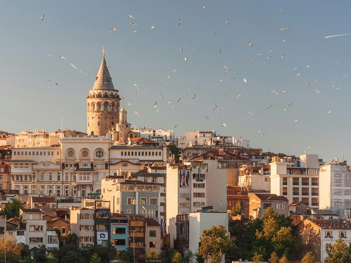 aerial view of buildings and flying birds