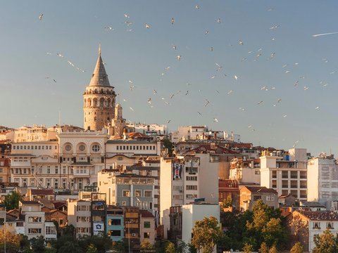 aerial view of buildings and flying birds