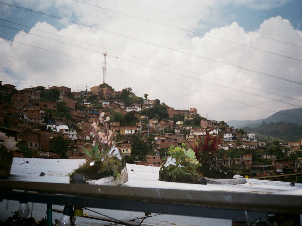 a town with trees and hills