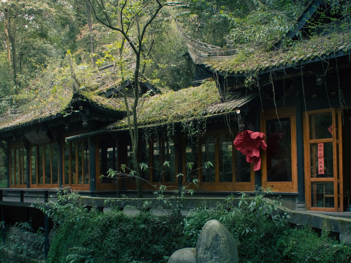 Traditional chinese house amidst lush greenery