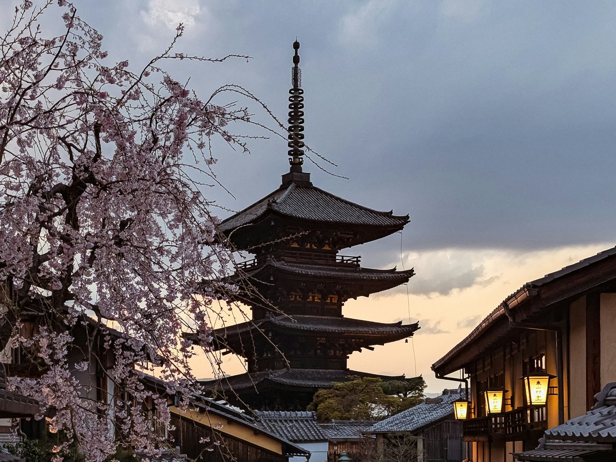Pagoda and cherry blossoms in kyoto, japan