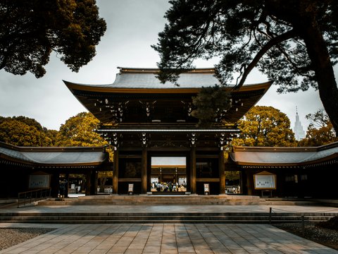 low angle photography of white and brown temple