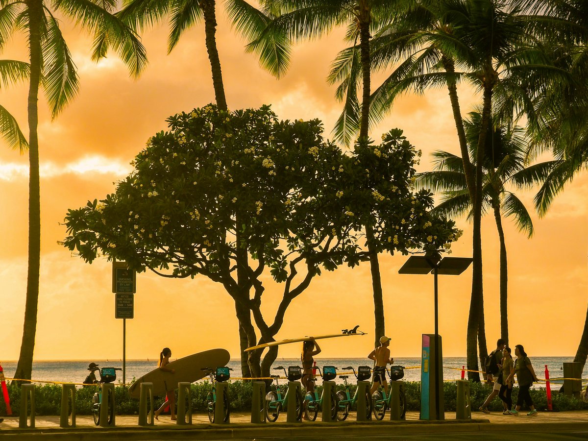 Sunset over a beach with palm trees and people.