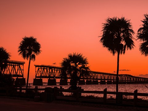 Silhouetted palm trees against a vibrant sunset sky