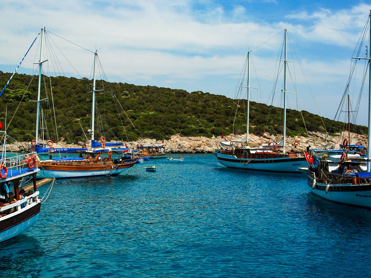 blue and white boat on sea near green mountain under blue sky during daytime