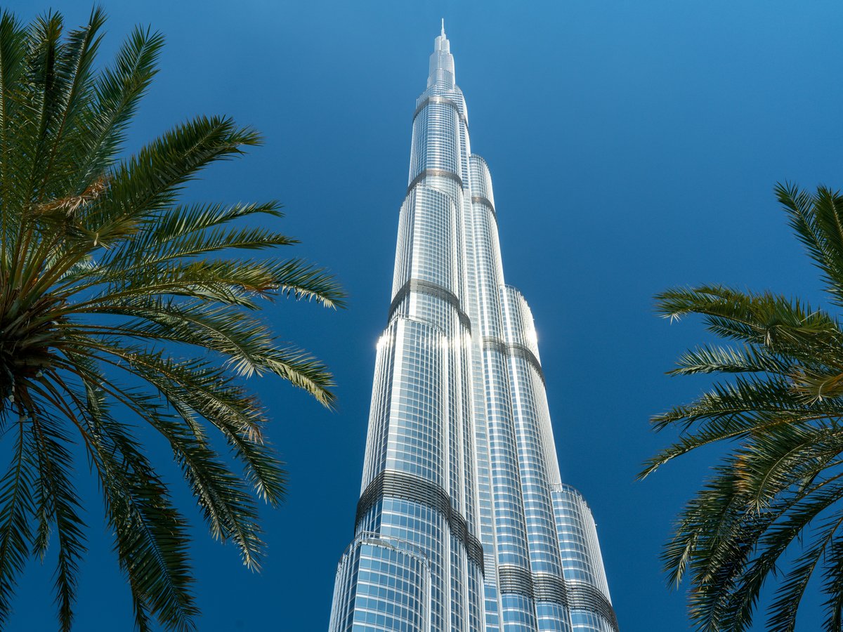 white concrete building near palm tree under blue sky during daytime