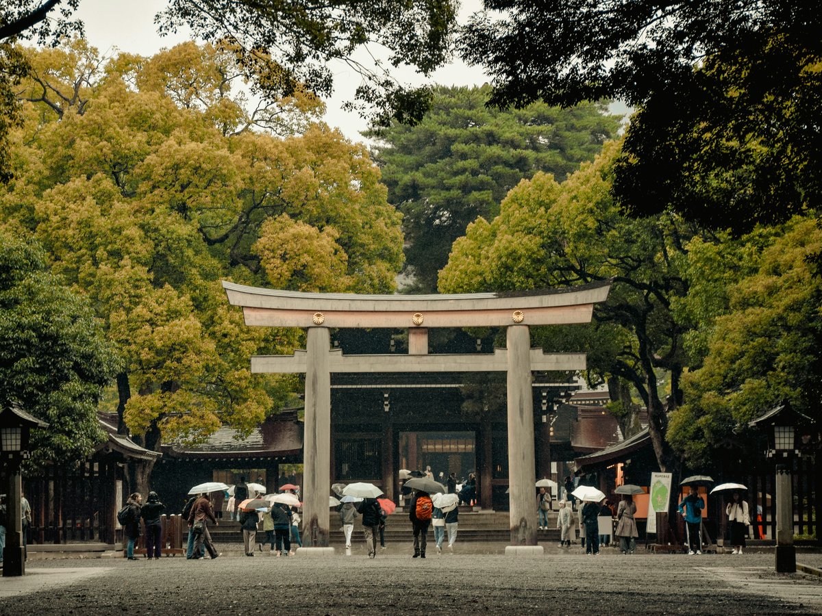a group of people with umbrellas standing in front of a gate