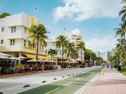 Tropical street scene with palm trees and buildings