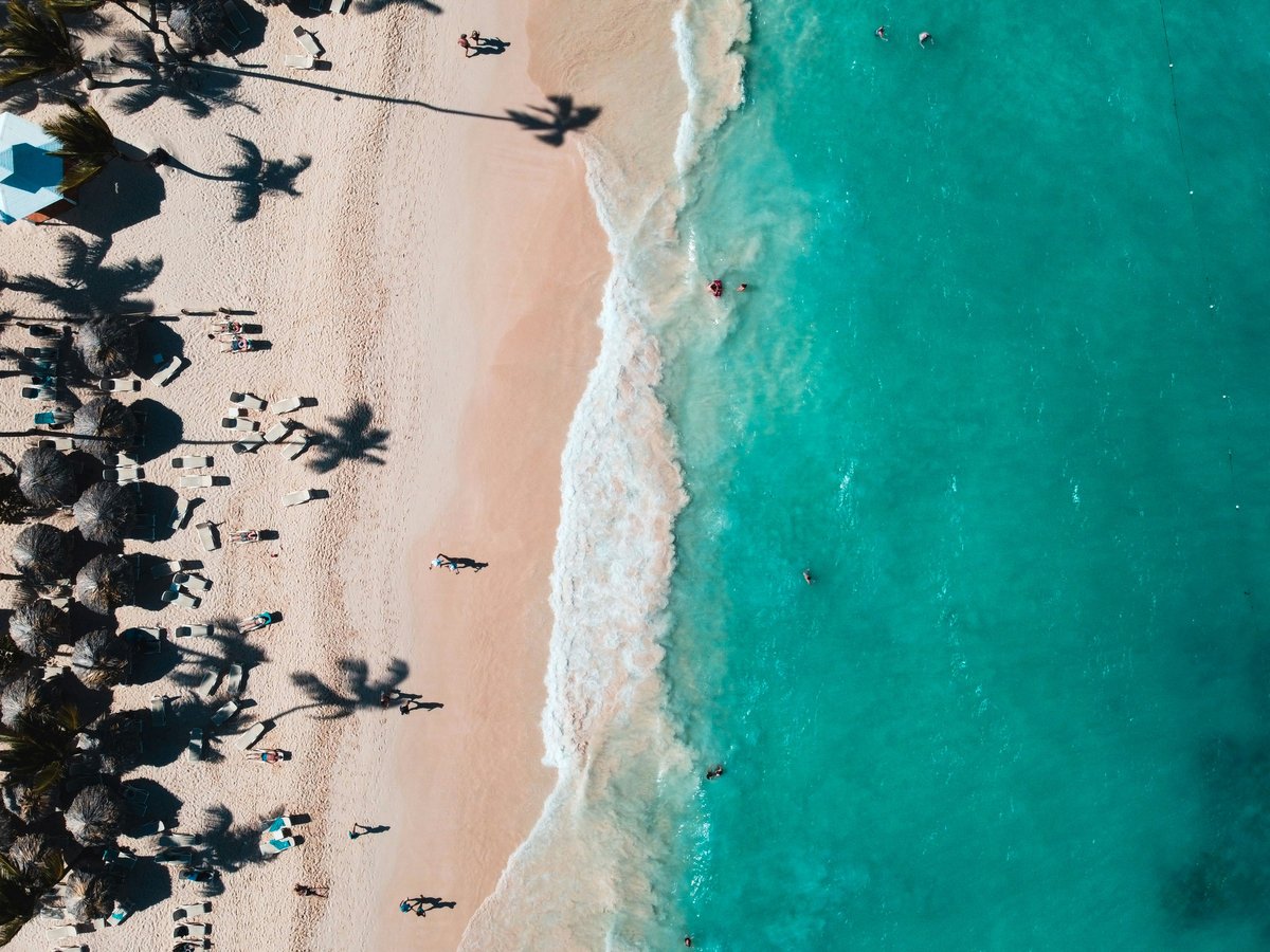 aerial view of people on beach during daytime
