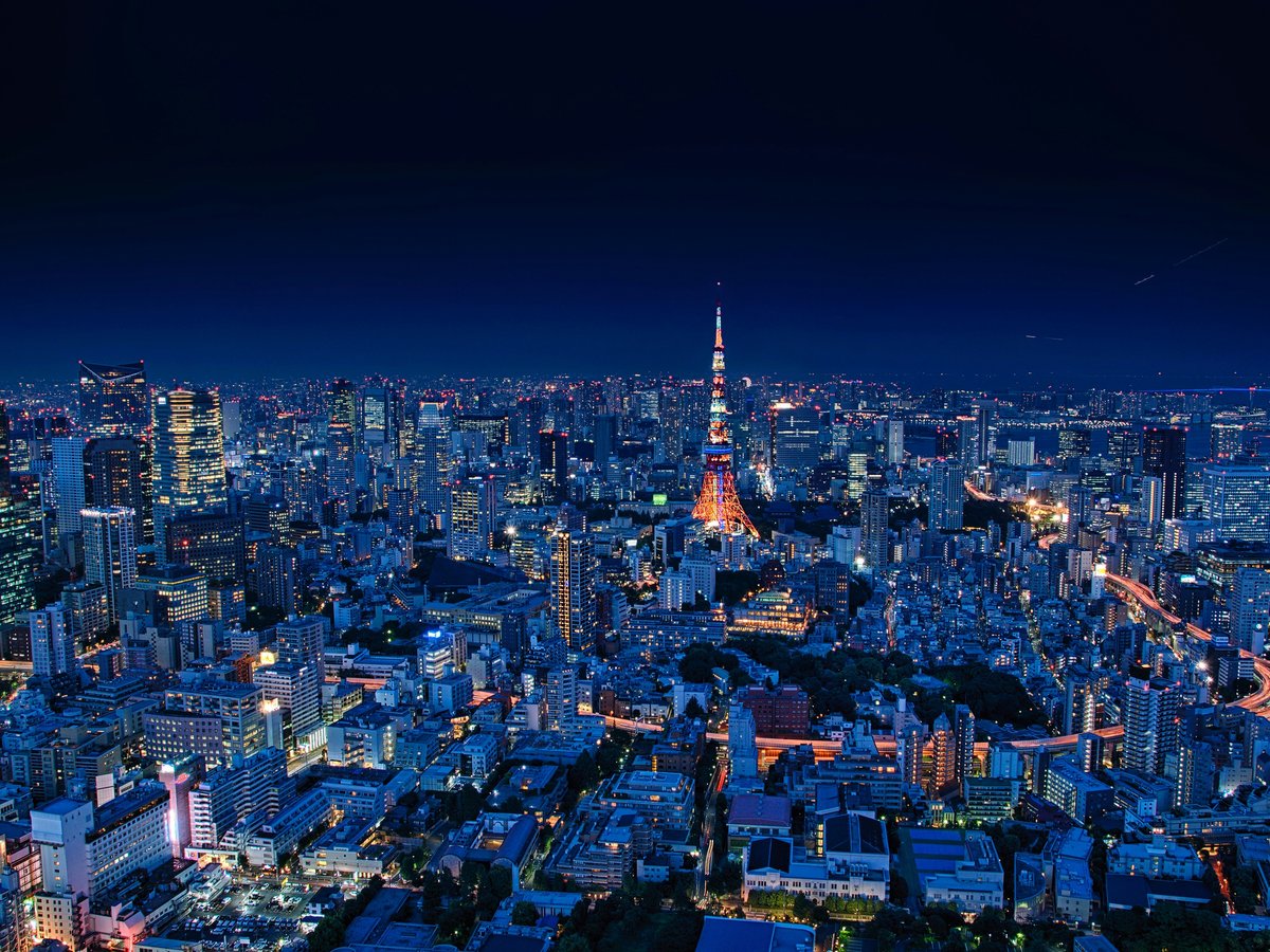aerial view of city buildings during night time