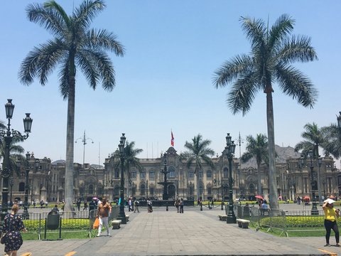 people walking on park during daytime