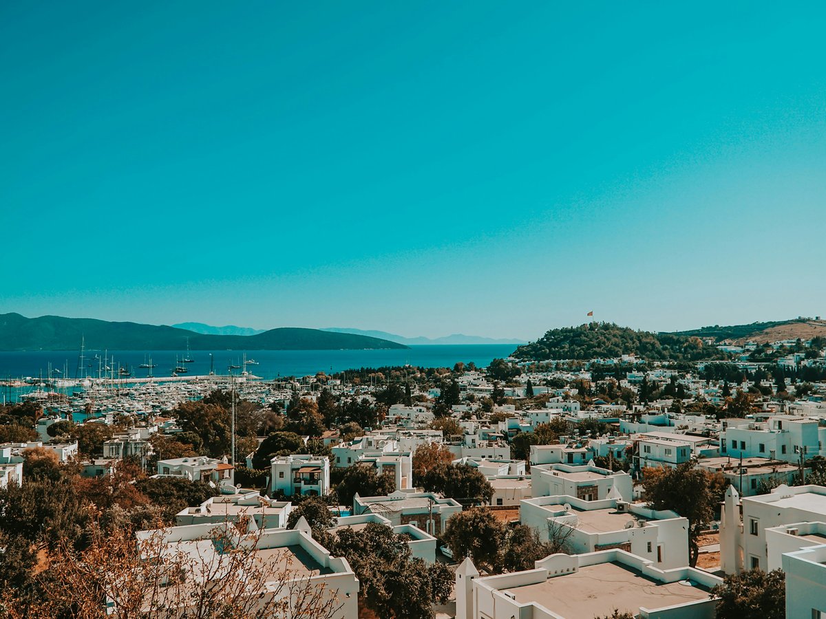 aerial view of city buildings during daytime