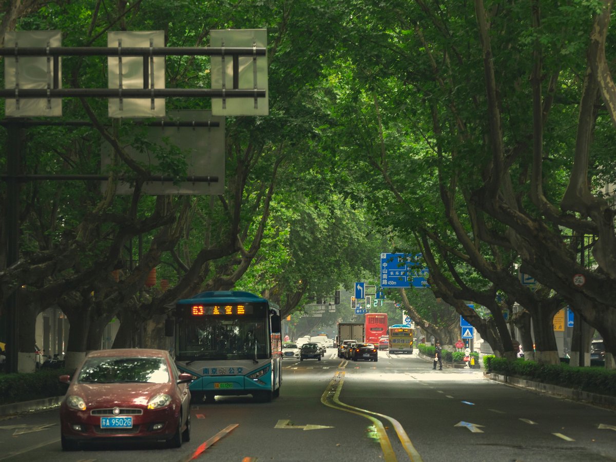 red car on road during daytime