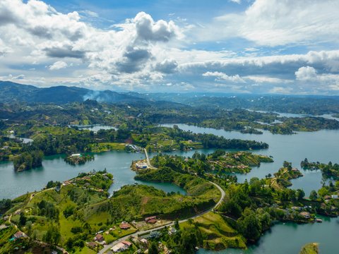 aerial view of green trees and river during daytime