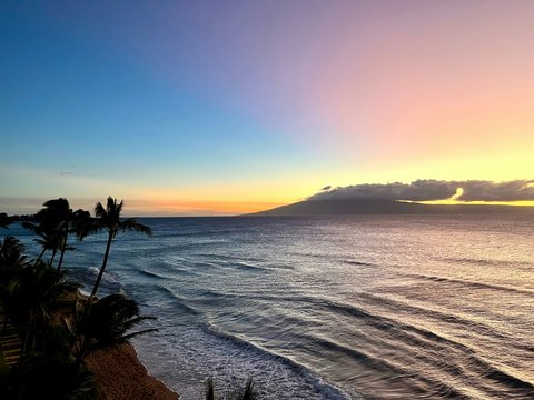 The sun is setting over the ocean with palm trees
