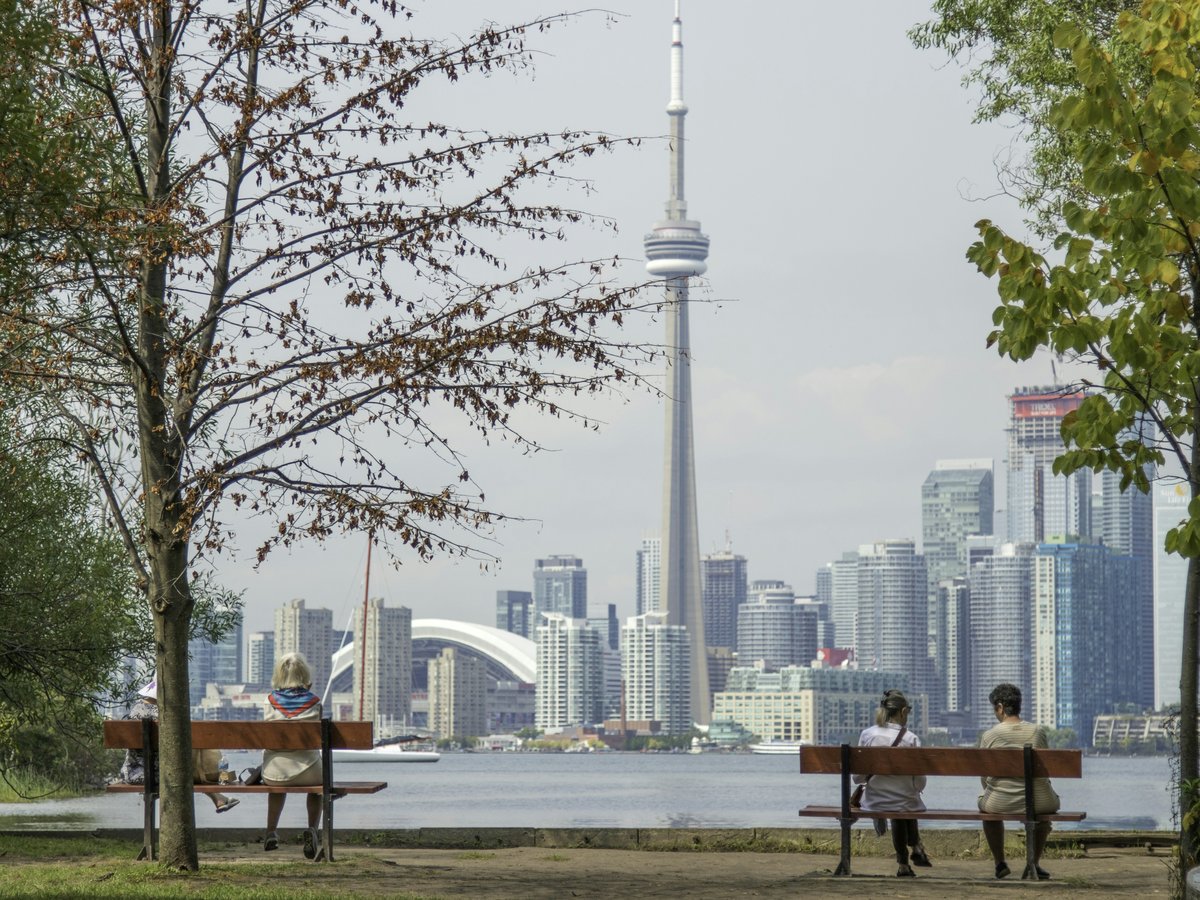 four people sits on park benches across city scape