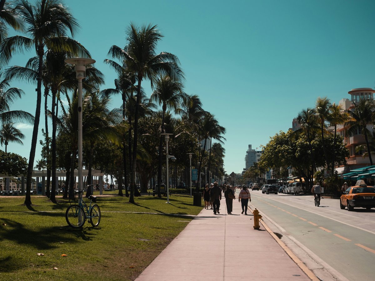 Palm trees line a sunny street on a bright day.