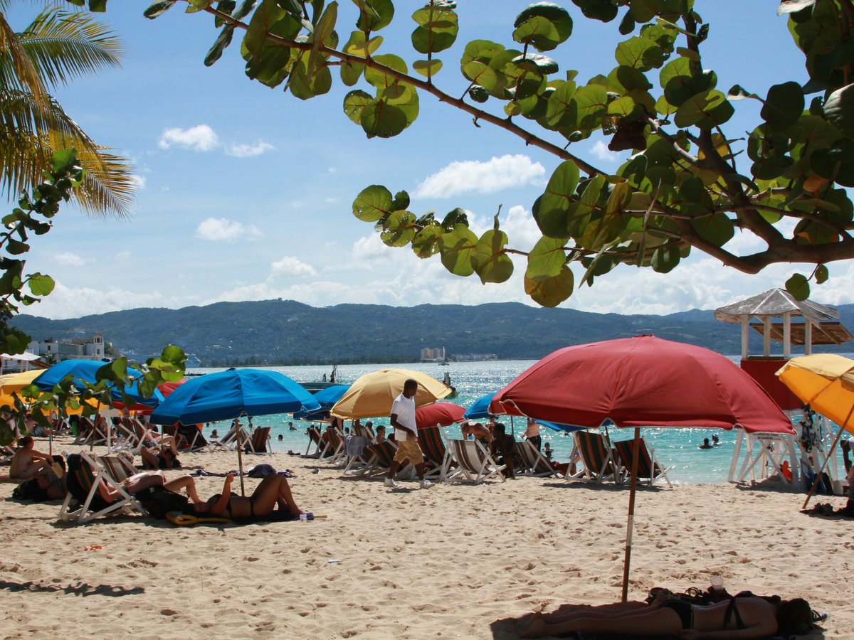 people on beach during daytime
