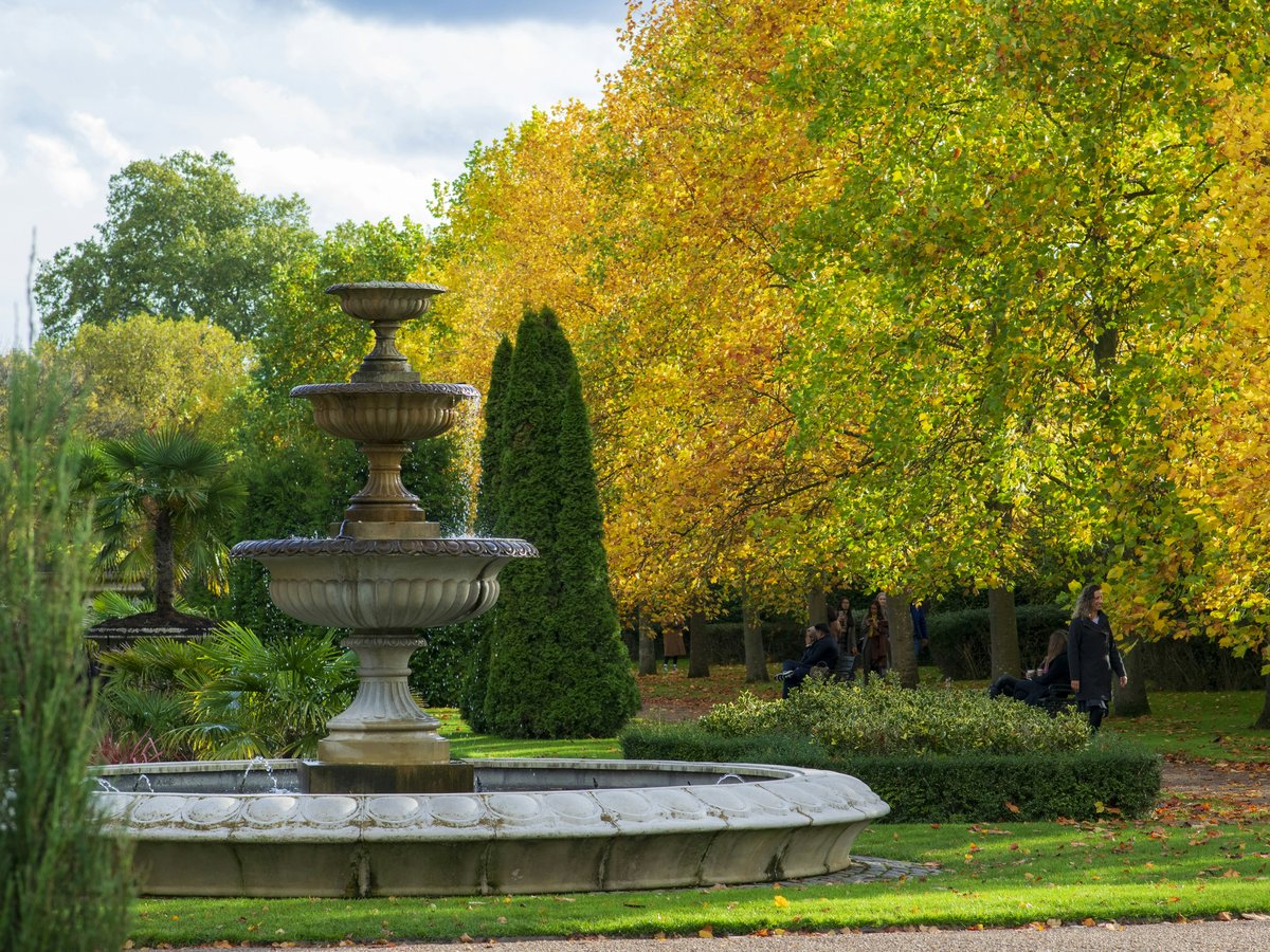 a fountain in a park surrounded by trees