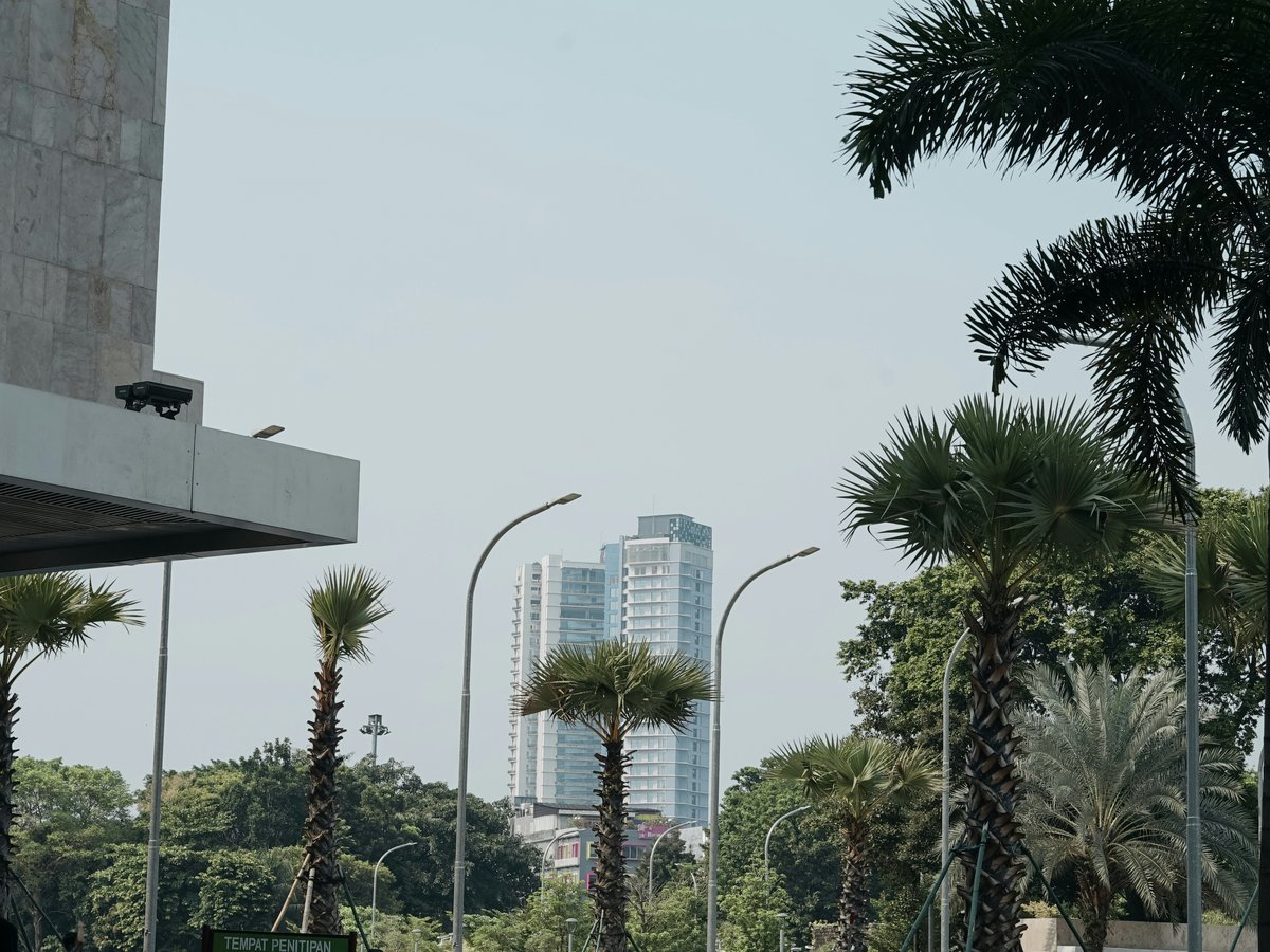 a city street with palm trees and tall buildings in the background