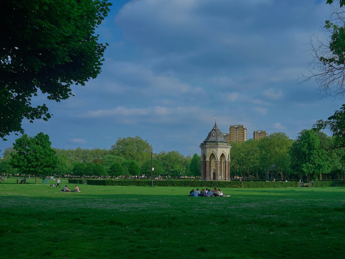 a group of people sitting on top of a lush green field