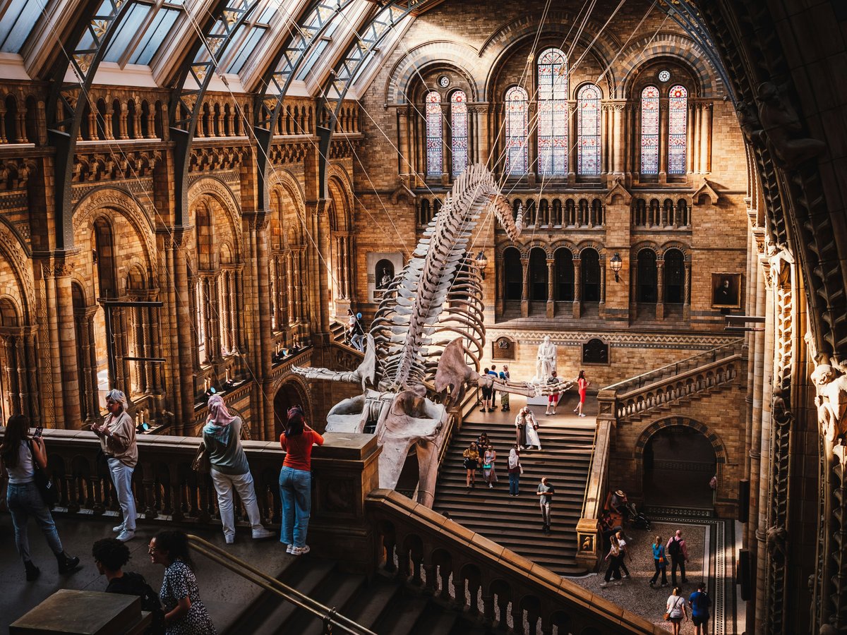 a large room with people and stairs
