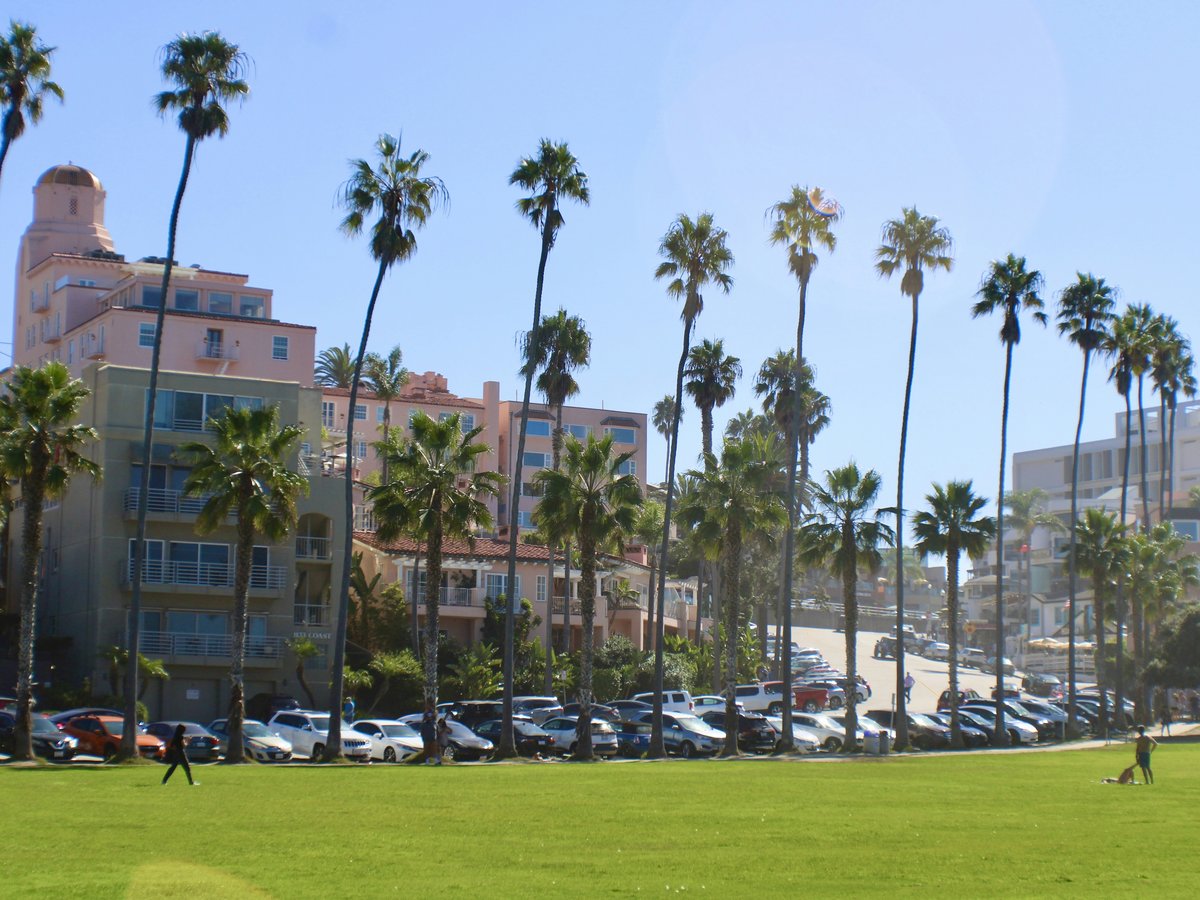 a man is playing with a frisbee in the park