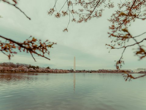 a large body of water surrounded by trees