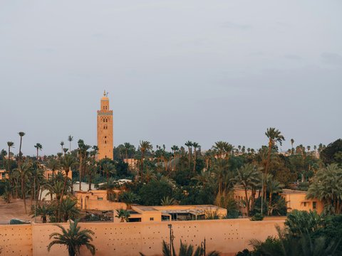 Moroccan minaret tower surrounded by palm trees