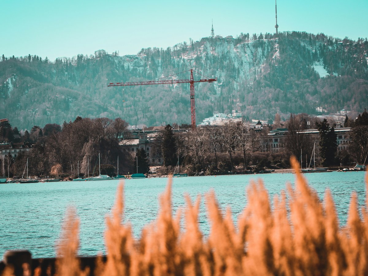 brown wooden post near body of water during daytime