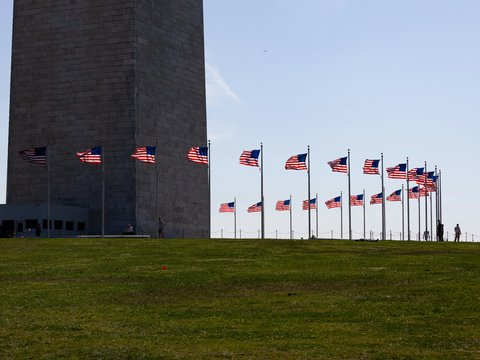 American flags surround the washington monument on a grassy hill