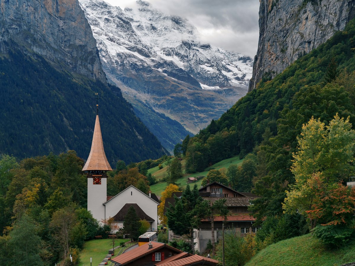 assorted houses by a forest and mountains