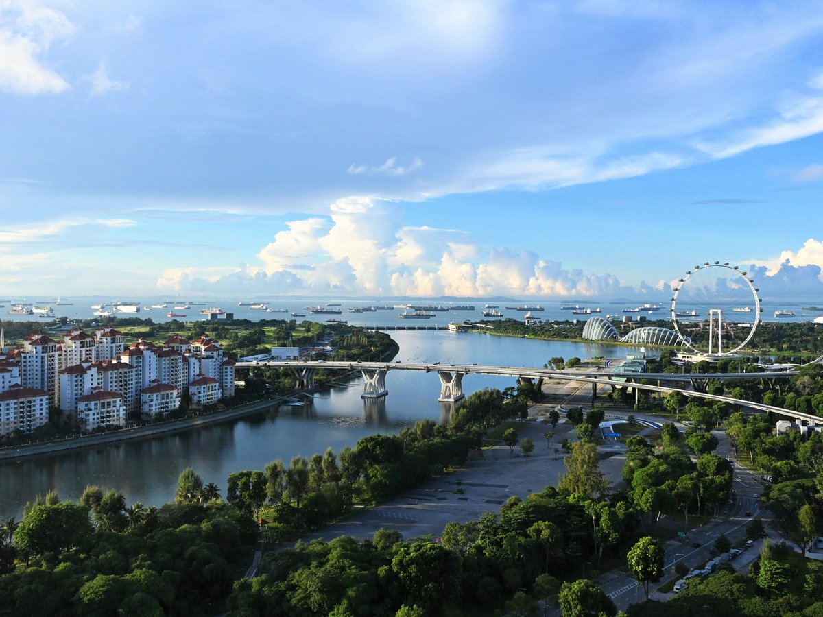 aerial view of city buildings near body of water during daytime