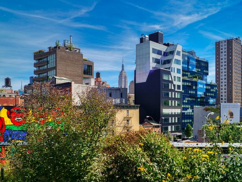 green trees near brown concrete building during daytime