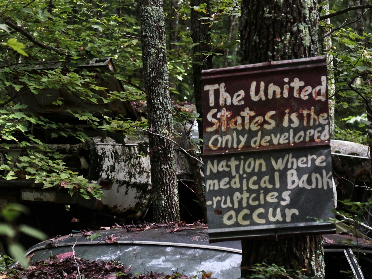 brown wooden signage near green trees during daytime