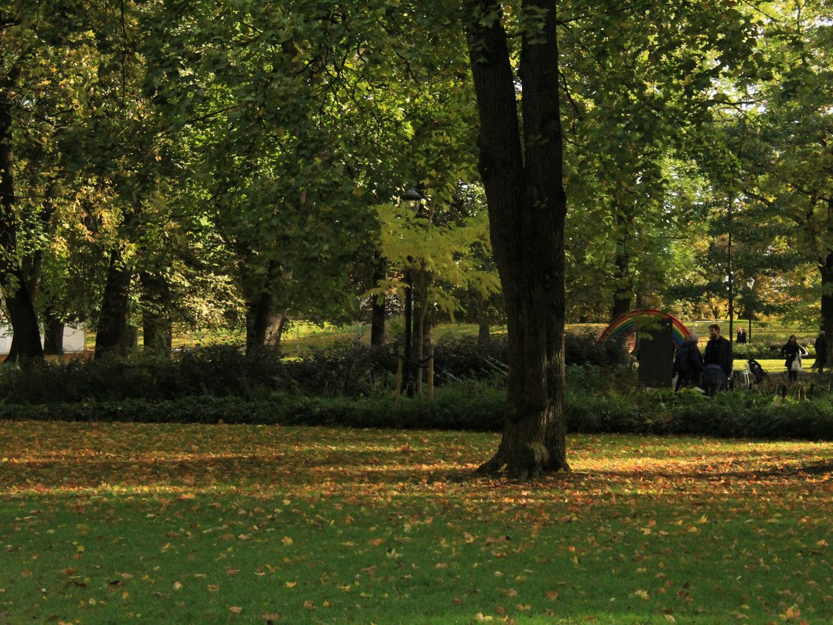 A peaceful park scene with lush trees.