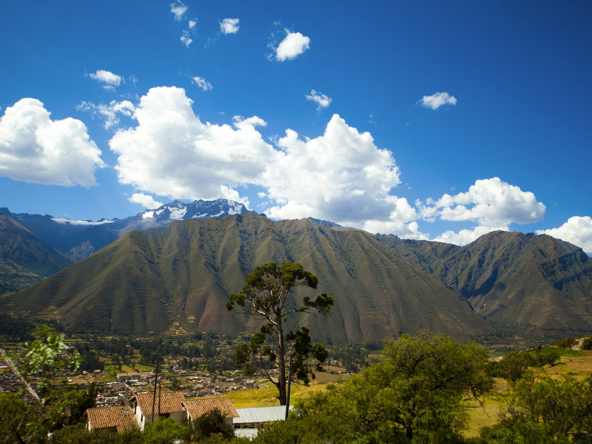 a landscape with trees and mountains in the back