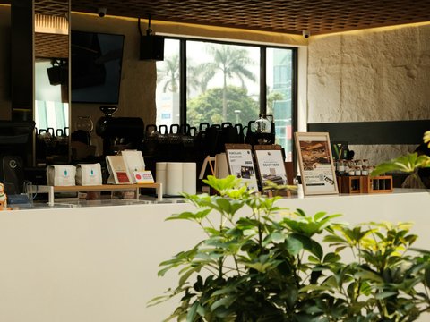 Modern cafe interior with counter and plants