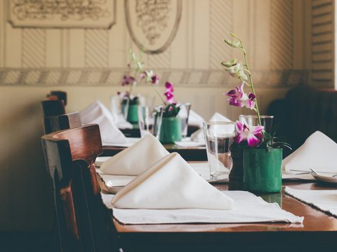 purple petaled flower on table with table napkins
