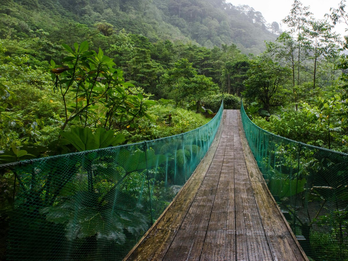 brown wooden bridge over green mountains during daytime