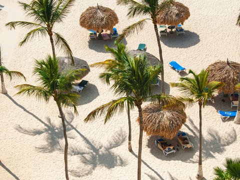 a sandy beach with palm trees and lounge chairs