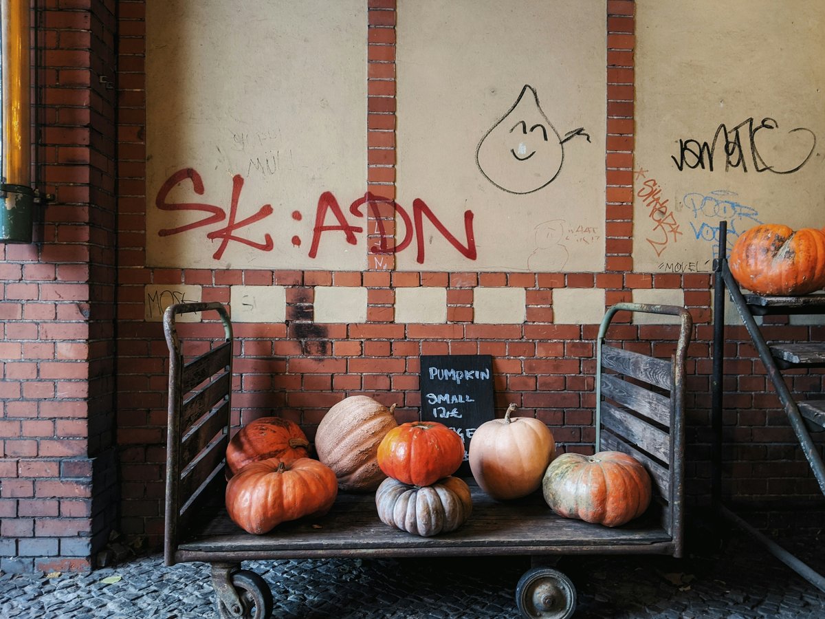 white and orange pumpkins