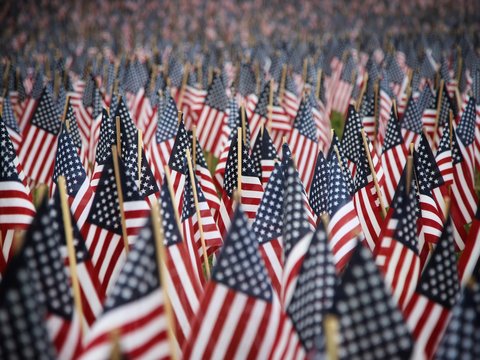 a field full of american flags with a sky background