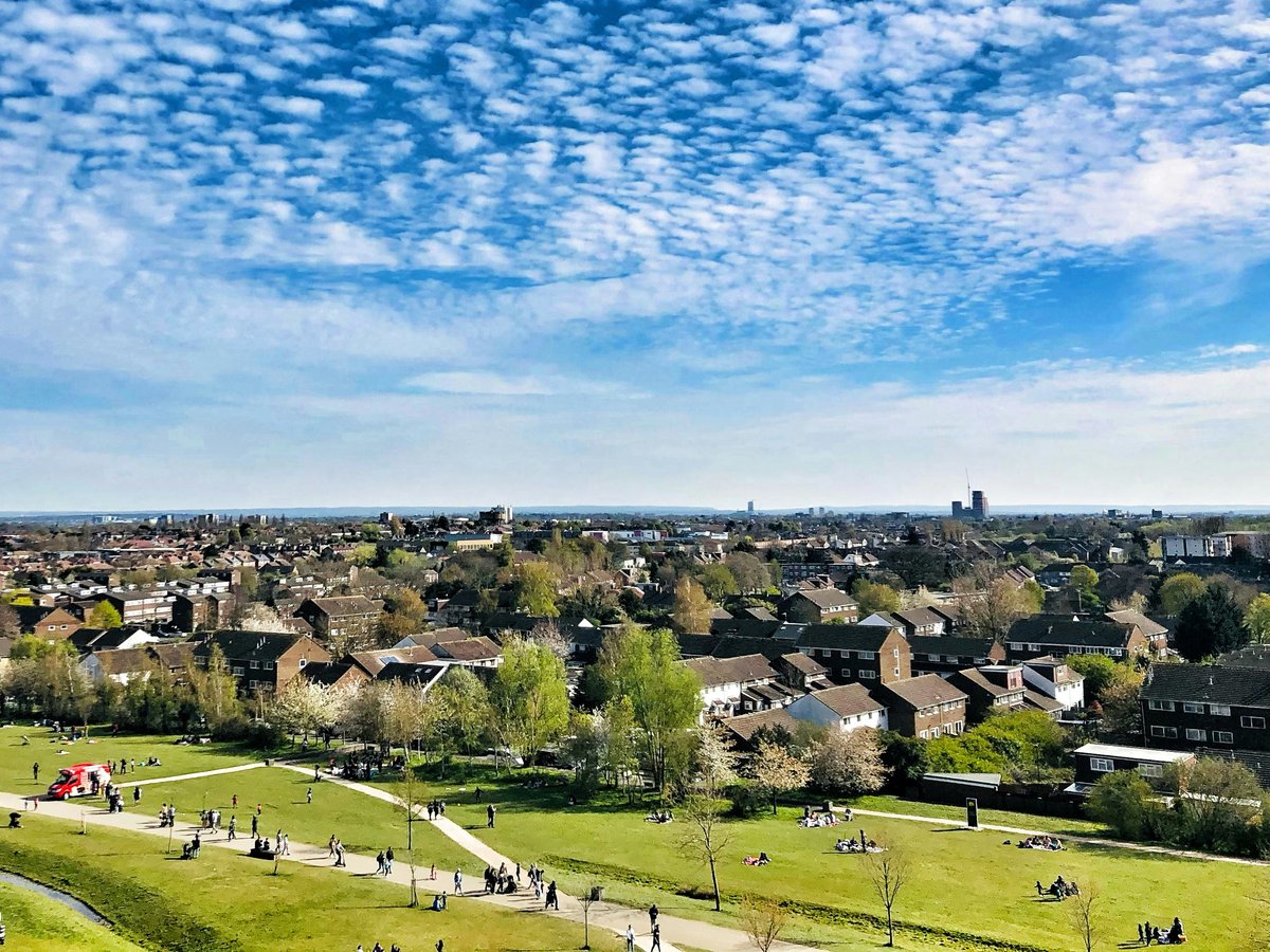 green grass field under blue sky during daytime