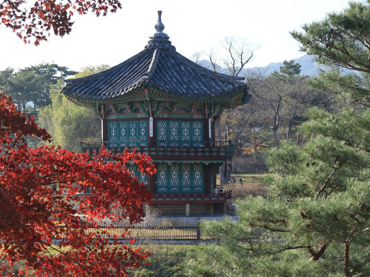 a tall tower sitting in the middle of a forest